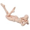 Neutral Zenith Drawing Movable Figure with 13cm Posing Art Gesture Changeable Doll, Manga, Joints, Stand, Tall, Practice, Model, Sketching, (Female)