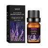 10ML Gentle Moisturizing Massage Oil for Oily Skin - Essential Oil for Body Massage