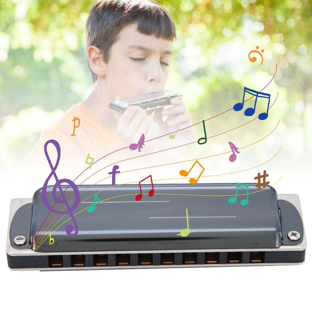 10-Loch Mundharmonika Blues E-Dur Harp Wind Musikinstrument Anfängerübung KS-10BHSchwarz