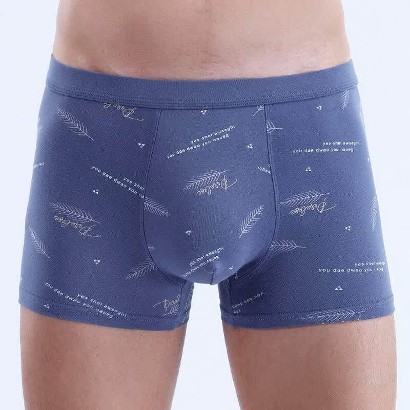 Fengxiao Men's Breathable Mid-waist 3D Print Boxer Briefs