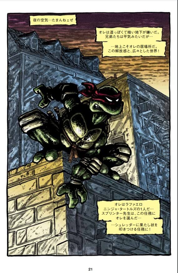 Teenage Mutant Ninja Turtles Classic Collection 1