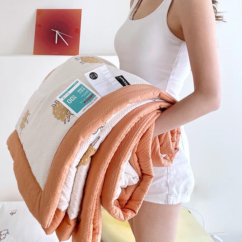 

Plover Seersucker Summer Quilt