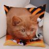 Federa per cuscino decorativo Blu British Shorthair con stampa in peluche corto per decorazione divano soggiorno Federe per cuscini