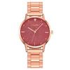 New Product Gypsophila Diamond Women's Watch Women's Watch Steel Band Quartz Watch