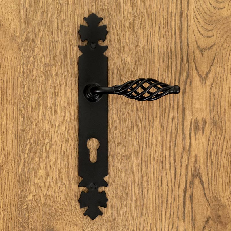 LAGOS door handle with plate for 72mm insert, BLACK