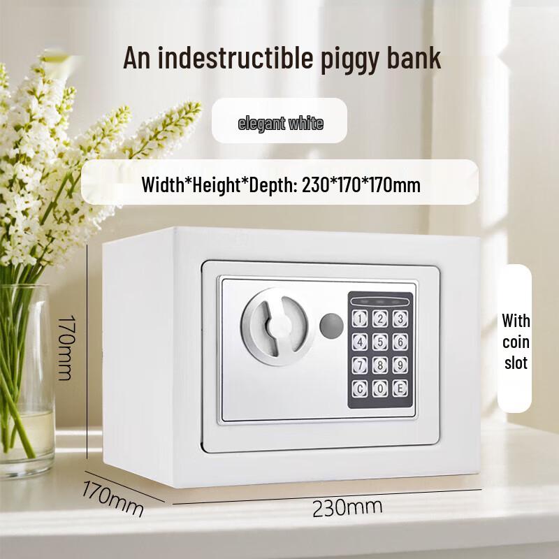 Dediao Biometric Home Security Safe