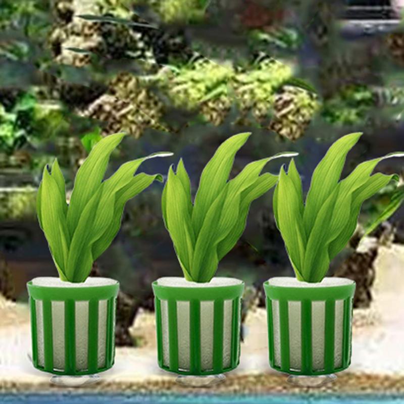 

Plants Fixed Ring Set For Aquatic 10pcs Fish Tank Water Plants Fixing Ring Aquarium Plant Basket Landscape Decoration China Mainland