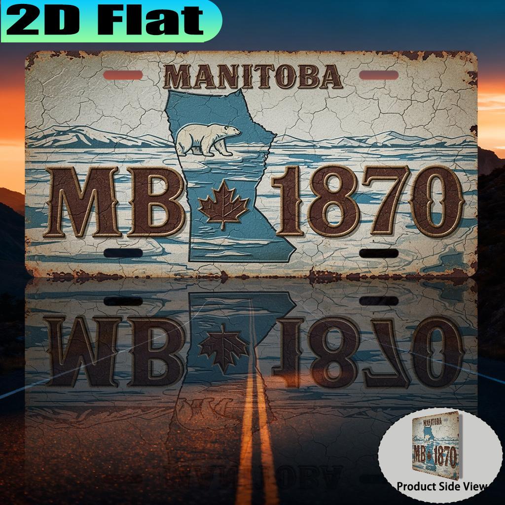 

D Flat D Plane a Vintage Metal Sign D Plane Printing Made Of Measuring Intended for Decoration Only 15x30cm(5.9x7.8inch)