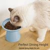 High-Leg Ceramic Cat Bowl with Neck Protection
