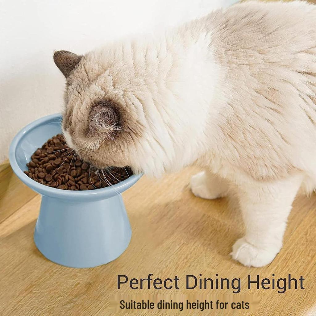 High-Leg Ceramic Cat Bowl with Neck Protection