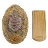 Rock Hidden Key Box Outdoor Key Hider Safe Storage Box Garden Statues Ornament Rock Stone Decoration for Outside Yard