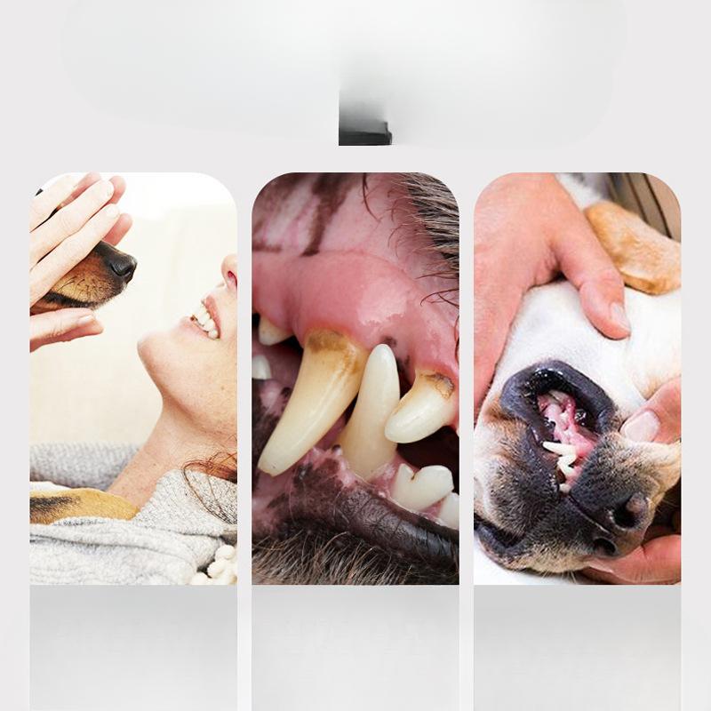 Pet Toothpaste and Toothbrush Set, Dog Oral Hygiene Care, Cat Fresh Breath Toothpaste and Toothbrush