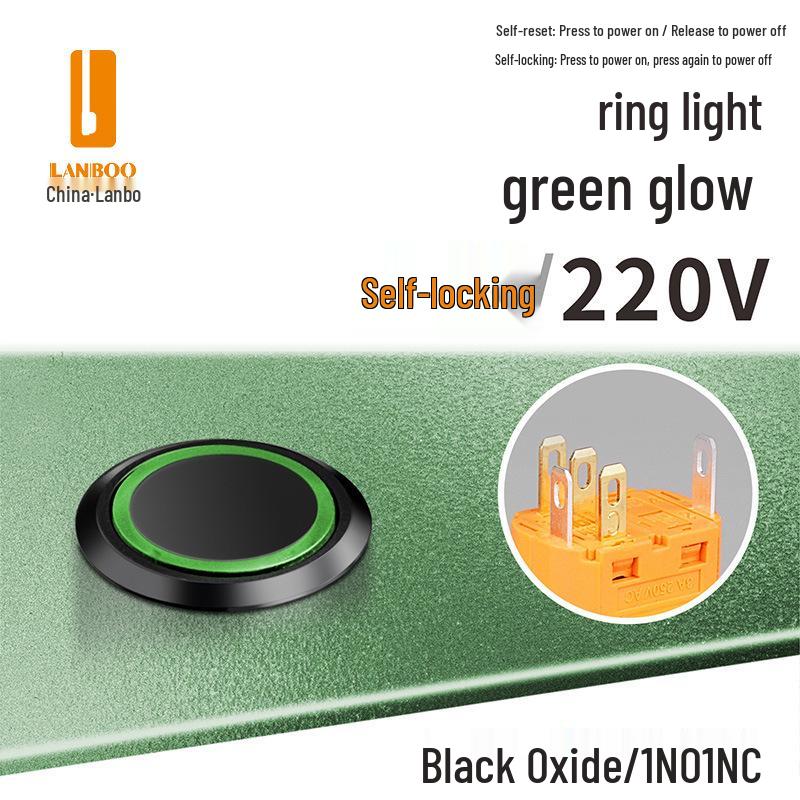 Lanbo 22A Stainless Steel Illuminated Self-Locking Momentary Push Button Elevator Switch