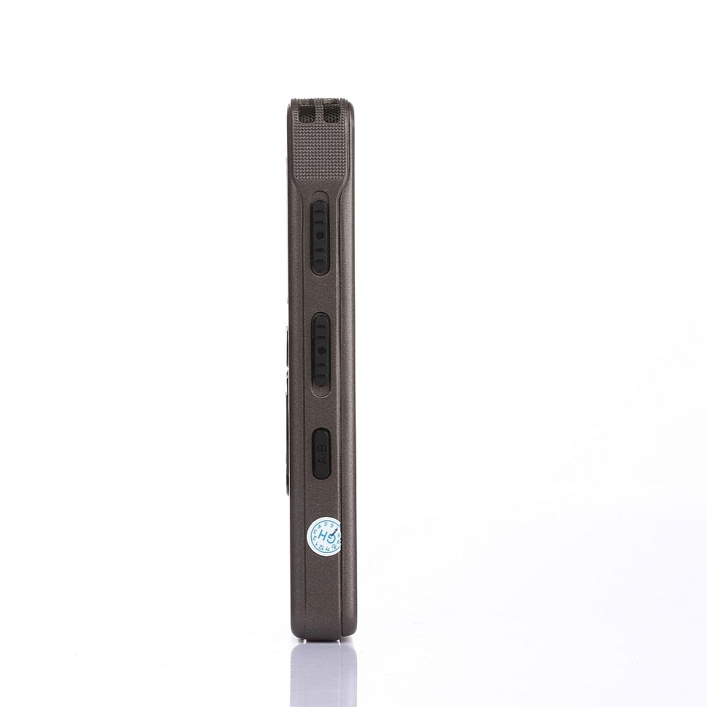 Înregistrator Vocal Digital ZS-300 Gri