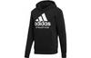 Sweatshirts Men's Black Hooded Thickened Regular BR4747