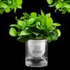 5/10M 4mm Self Watering Wick Cord Cotton Rope Automatic Slow Release Cord For Potted Plant Self-watering Irrigation