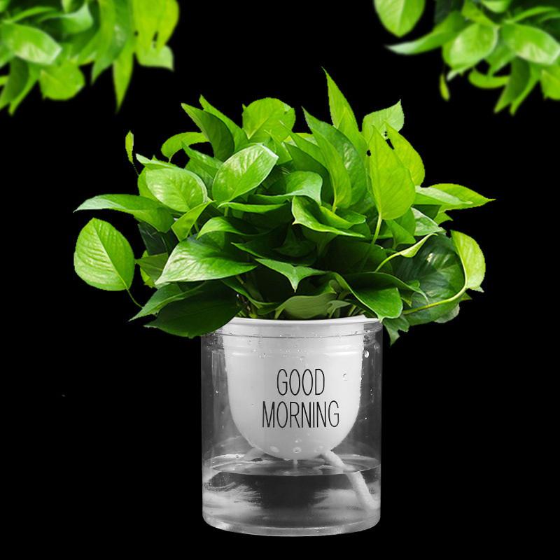 5/10M 4mm Self Watering Wick Cord Cotton Rope Automatic Slow Release Cord For Potted Plant Self-watering Irrigation