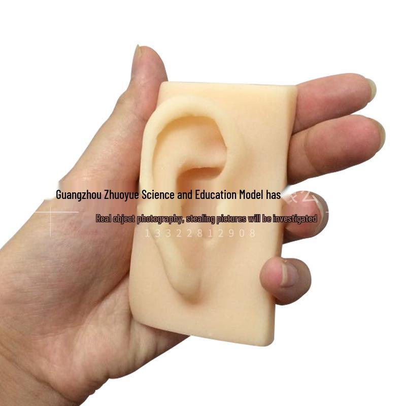 Realistic Adult Silicone Ear Model for Acupuncture 1:1