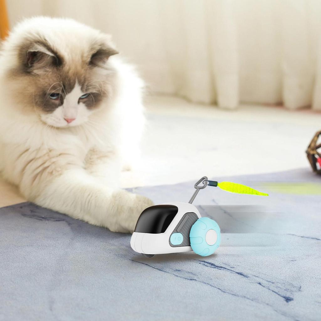 Toys For Indoor Cats Electronic Funny Remote Control Pet Supplies Cats Remote Control Toy For Small Medium Large Kitten Home