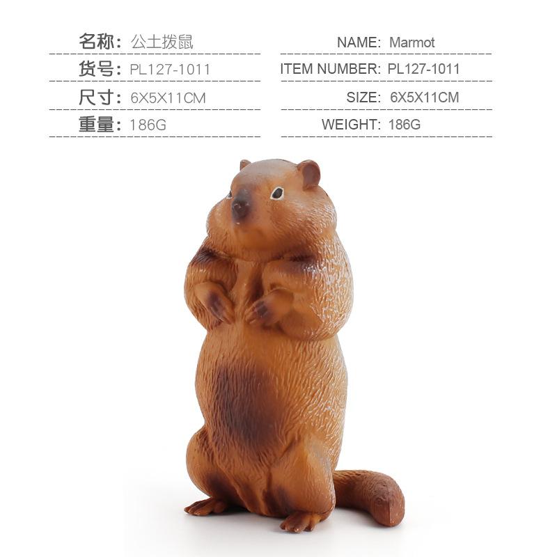 Children'S Science And Education Cognition Grassland Wild Squirrel Animal Model Simulation Solid Groundhog Collection Ornament Toy