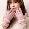 Winter Plush Thickened Warm Gloves for Women's Touch Screen Suede Gloves Outdoor Windproof and Cold Cycling Gloves