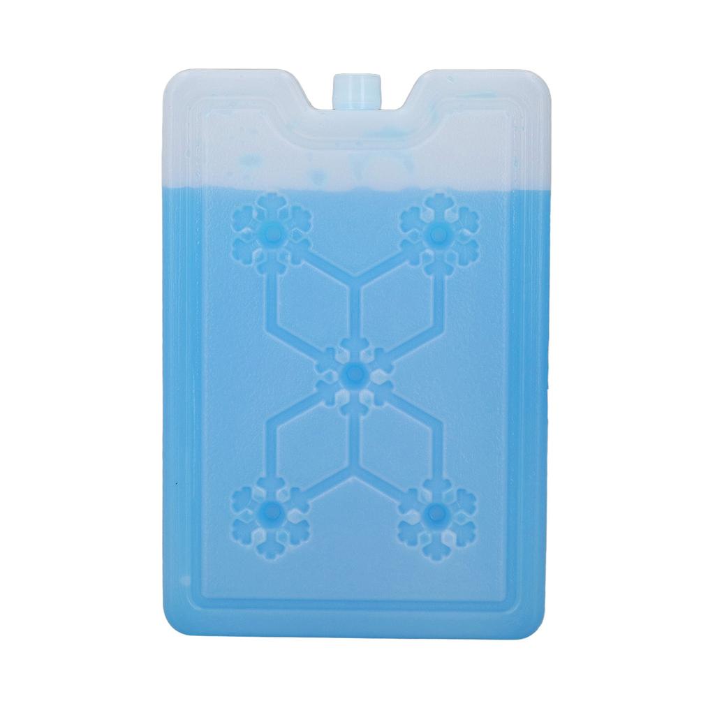 Outdoor Portable Freezer Picnic Camping Travel Fruit Cooler Box Reusable Ice Pack 600ML