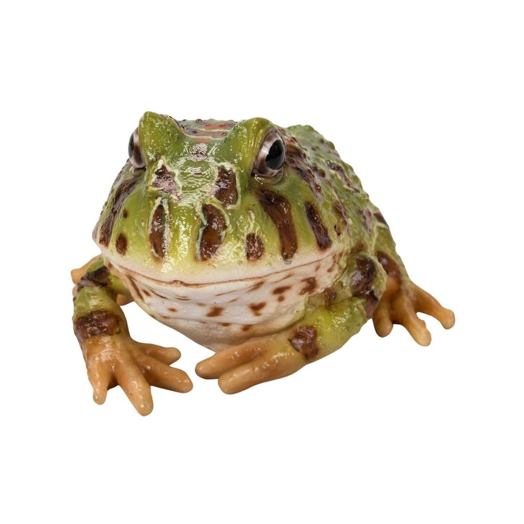 Ubia Lying Horned Frog, Green, 10 X 9.5 X 6 Cm, Doll Figurine, Animal Ornament, Garden Decoration, Frog, H20152