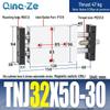 Regulowany skok Dwosiowy cylinder pneumatyczny dwururkowy TNJ TNJ10/16/20/25/32-30-100