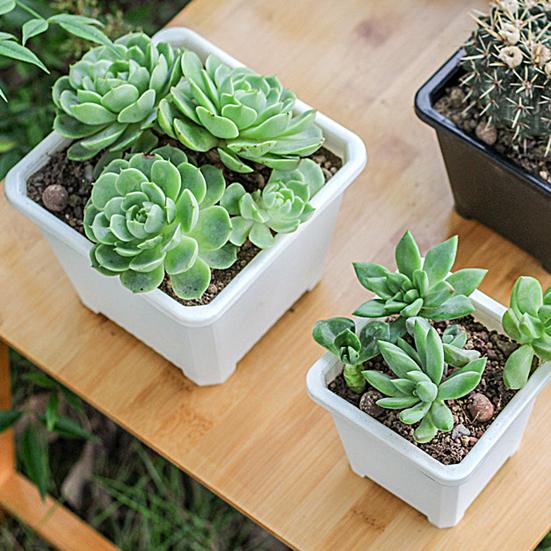 Easy Planting Flower Pot Good Weight Capacity Plastic Modern Style Thicken Plant Pot Home Decoration