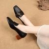 Fashion Square Toe Single Shoes Women Fall 2025 New Mid-High Heels Block Heel Fashion Loafers