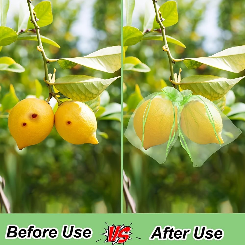 100 Stück Wiederverwendbare Obstgarten-Netzbeutel für Pflanzenschutzbeutel - Atmungsaktives Organza mit Kordelzug-Netzbeuteln, Insekten- und Vogelschutz