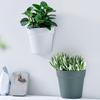 Bloempot Eenvoudig Elegant Halfrond Muurbevestigd Tuinplant Vetplantenpot Tuinbenodigdheden