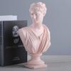 Rosa Venus-Büstenstatue Harz-Dekor Wohnzimmer Heimdekoration Geschenk Einweihung Freunde Weihnachten