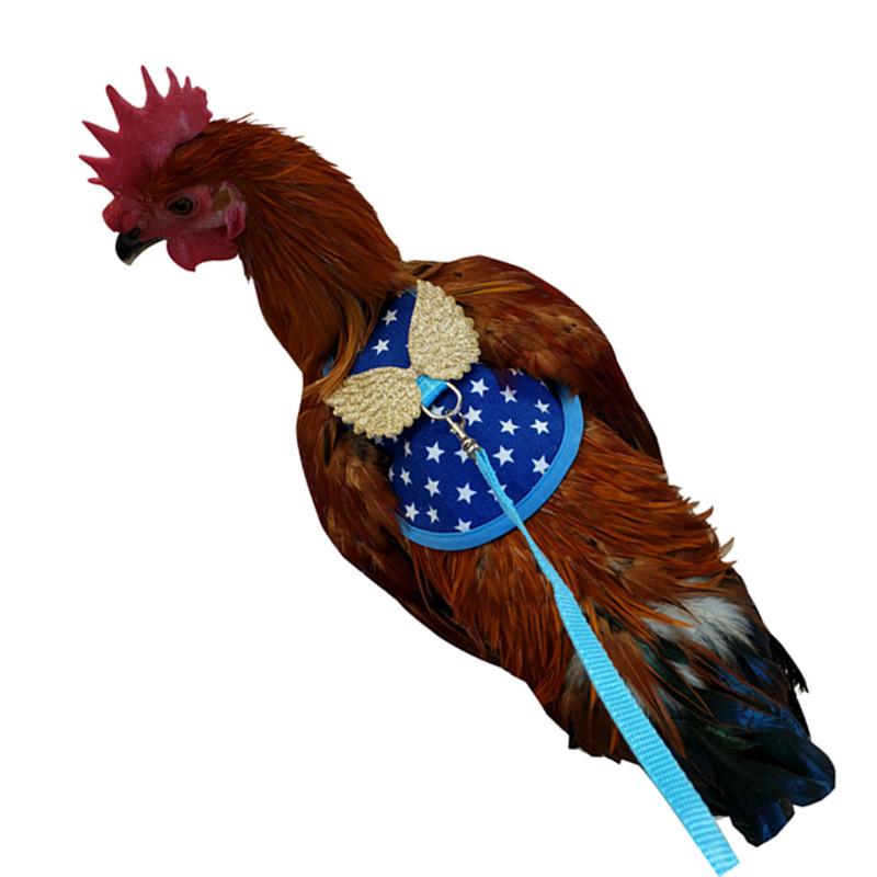 Ganzjähriger Hahn- und Hennenkostümumhang mit Leine