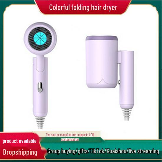High-Power Salon & Home Hair Dryer with Concentrator & Aromatherapy Feature - Perfect Gift for Stylists