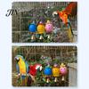 Bird Pecking Toy Parrot Foraging Ball Toy, Plastic Hollow with Bell, Play Cage Enrichment for Lovebird Budgie Cockatiel Conure