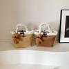 Niche Plush Hand Carrying Bucket Bag Women's Autumn and Winter New Retro Commuting Small Bag