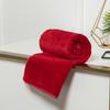 Warm Blankets Coral Soft Fleece For Winter Sheet Bedspread Sofa Throw Light Thin Wash Flannel Blankets House Accessories