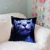Quiet And Ethereal Blue Case Plush Fabric Soft Pillowcase Double Sided Print Cushion Cover Household Gifts