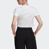 adidas Originals Hot Girl Collection T Shirt Women's White GN2803