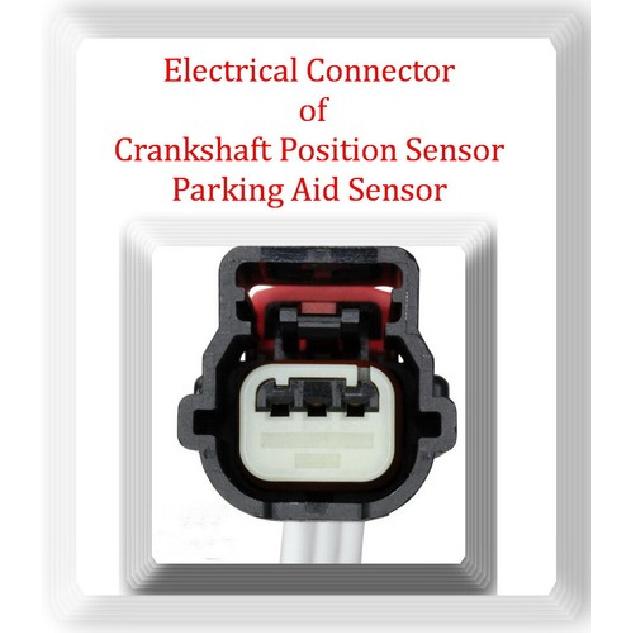 Connector of Crankshaft Position Sensor / Park Assistance Sensor Fits:GM 06-19
