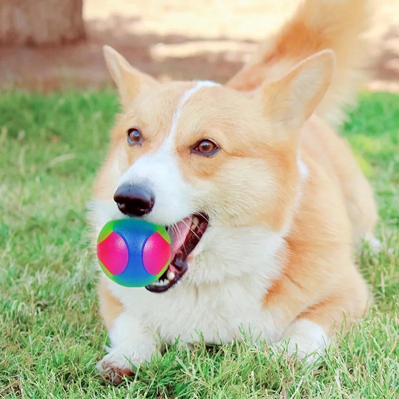 Hot Selling Small Dog Flash Pet Ball TPR Three Color Glowing Elastic Ball Training Interactive Throwing Dog Ball Dog Toys For
