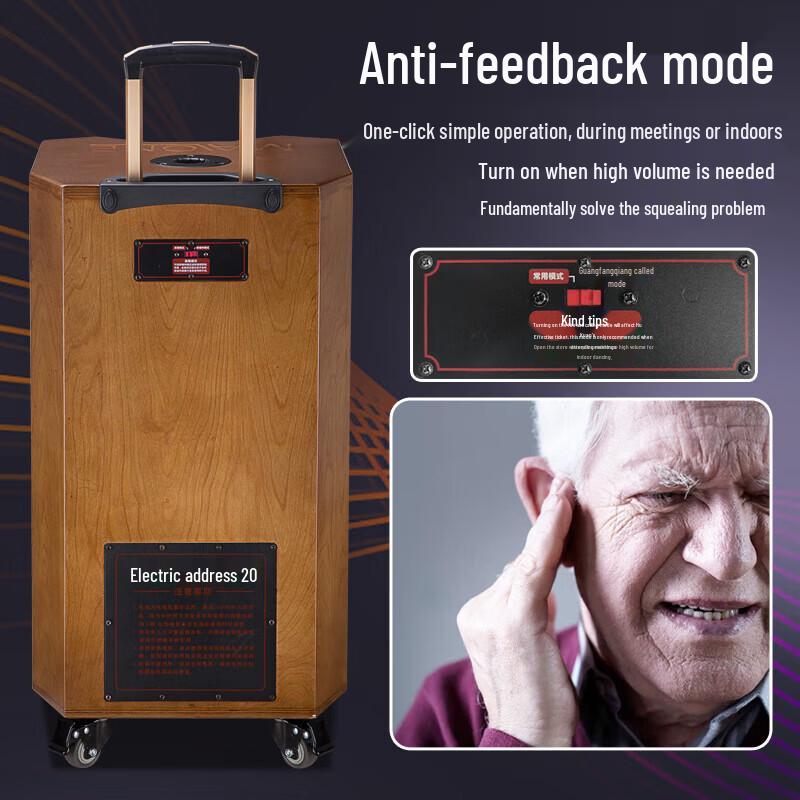 MALONE 85 Series High-Power Portable Bluetooth Karaoke Speaker CN plug (adapter included)