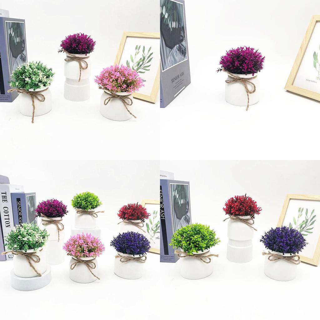 Plastic Veronicastrum Caulopterum Mini Pot With Roped Butterfly Design For Indoor Outdoor And Special Occasion Use