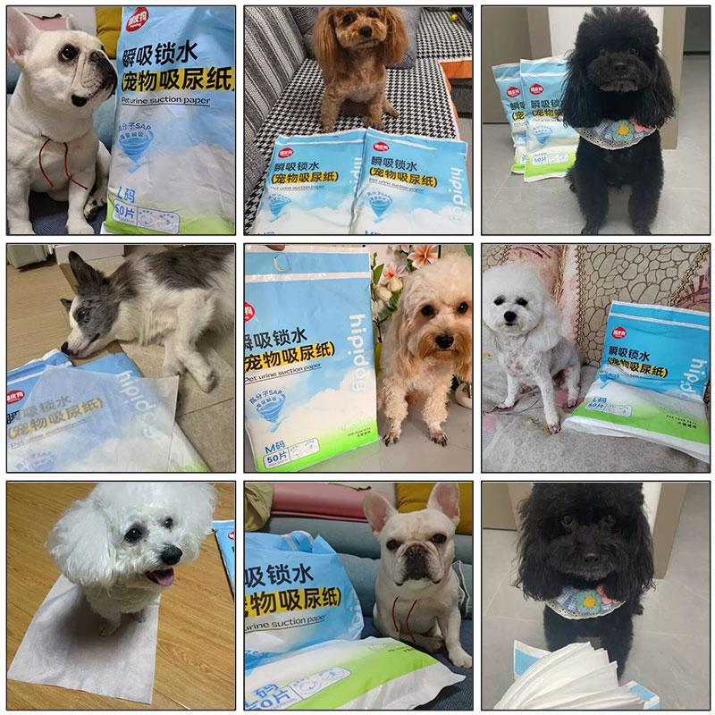 50PCS/Bag Pet Urine Absorbing Paper Dog Absorbent Paper Pet Diaper Urine Pad Quick Dry Wipe Urine Absorbent Paper Pet Supplies