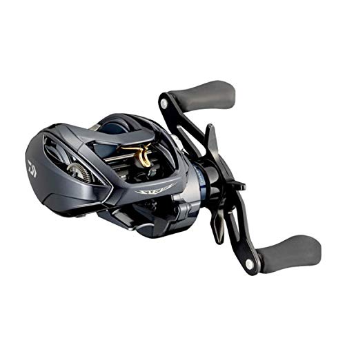 

Daiwa 21 Steez A TW HLC 6.3L