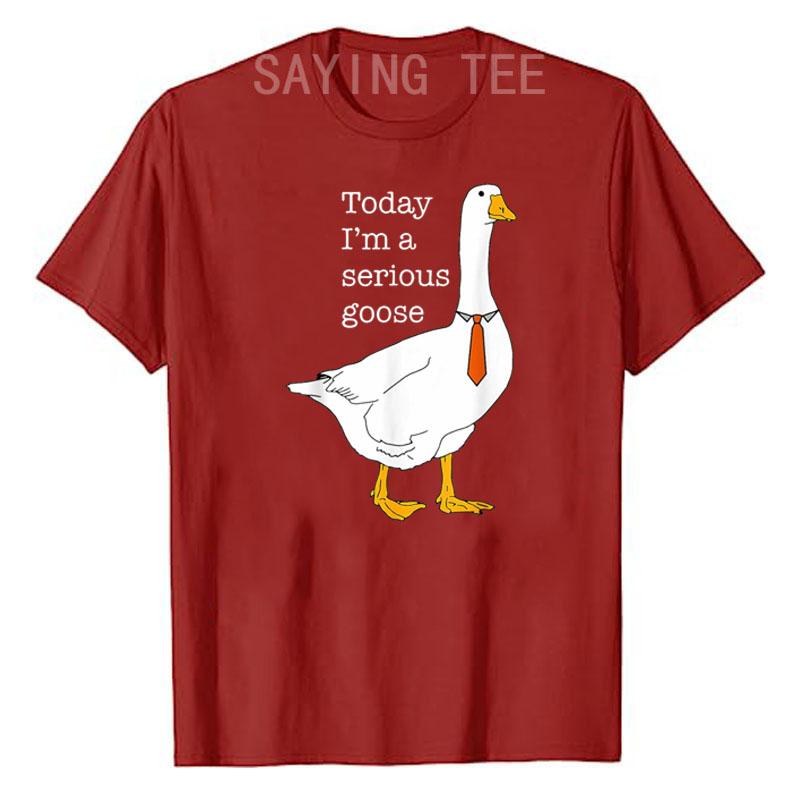 

Today I m A Serious Goose Silly Goose Cute Funny T-Shirt Sarcastic Joke Saying Tee Humorous Goose Lover Top Short Sleeve Blouses S