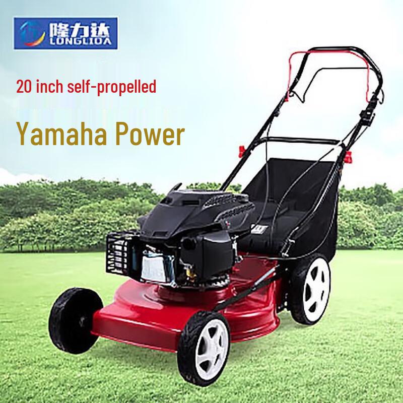 Longlida Self-Propelled Lawn Mower CN plug (adapter included)