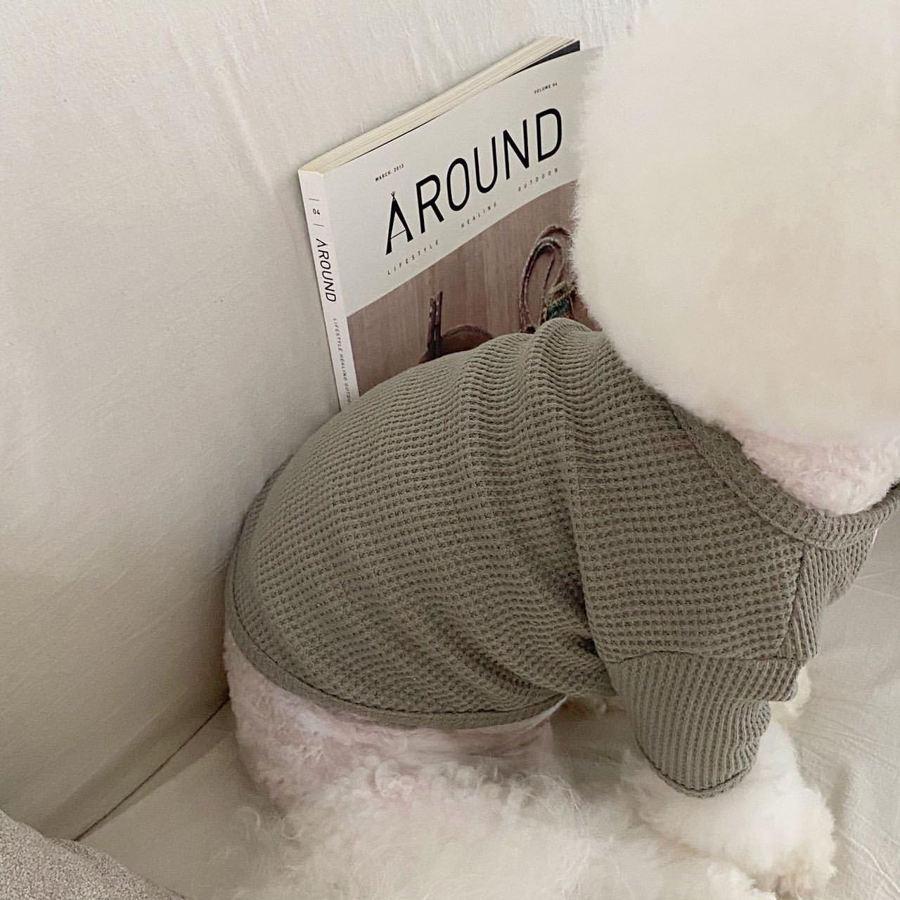 

New Versatile Base Layer Pet Clothes for Small Dogs & Cats: Autumn/Winter Collection XS