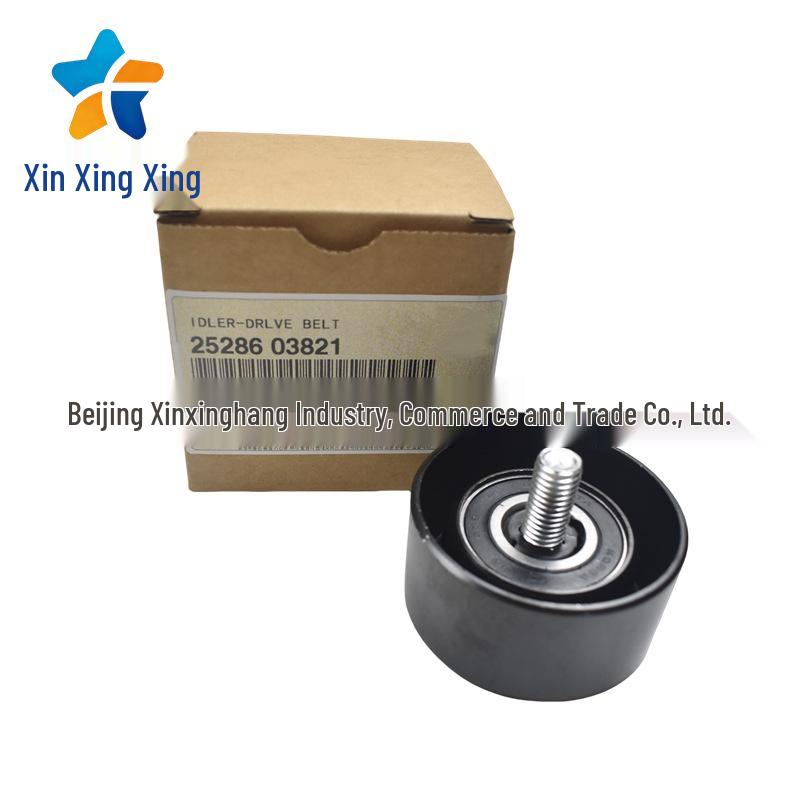 25286-03821 Generator Idler Pulley fits Hyundai Kia series 2528603821.